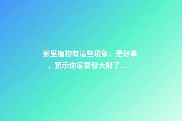 家里植物有這些現象，是好事，預示你家要發大財了！